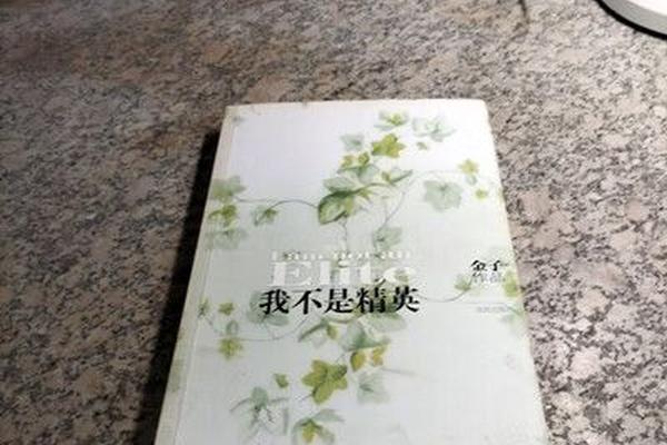 我不是精英