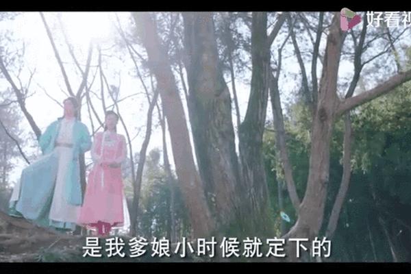 纳妾记第二部