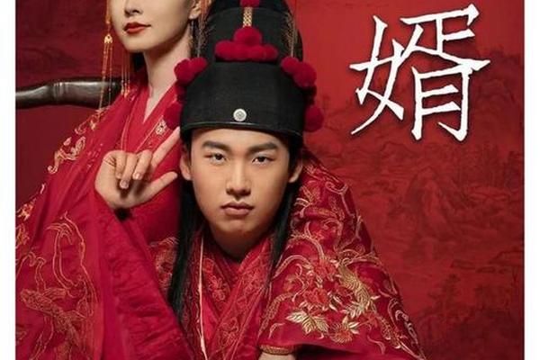 赘婿电视剧免费观看全集完整版