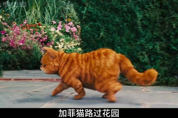 加菲猫2国语版电影