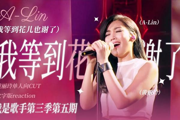 我是歌手 第三期