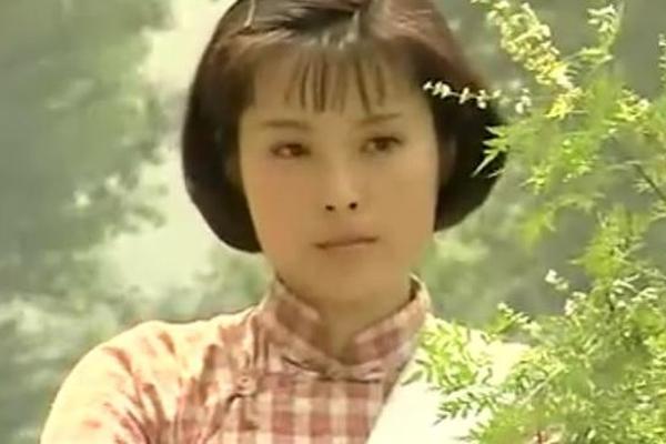 电视剧我亲爱的祖国