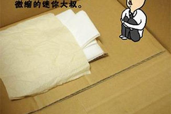 迷你的大叔