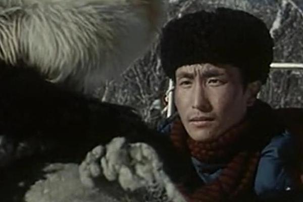 火狐电影网