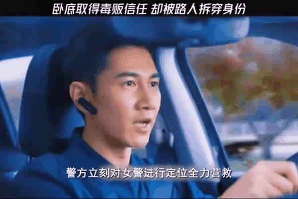 卧底警花电视剧免费观看全集高清