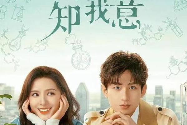 电视剧南风知我意