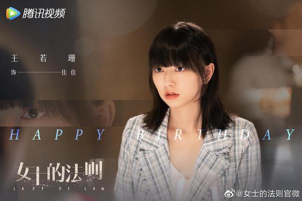 女士的法则电视剧在线观看