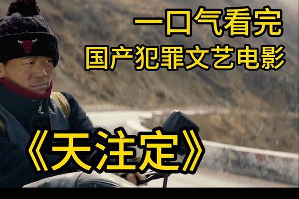 天注定字幕