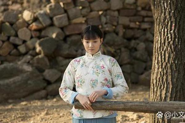 花儿与远方电视剧
