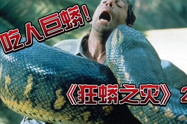 狂莽天灾