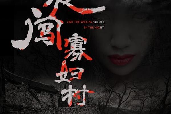 夜闯寡妇村 电影