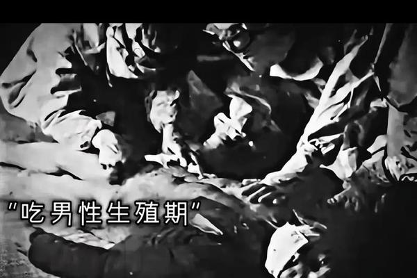 黑太阳731杀人工厂