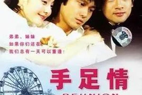 手足情电视剧