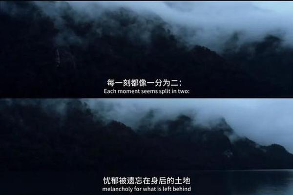 格瓦拉 电影