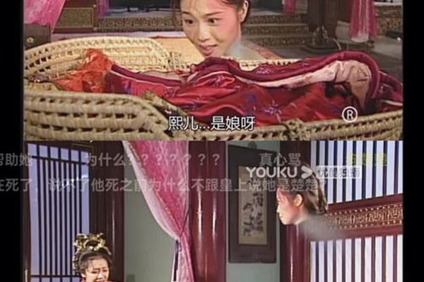 真假东宫电视剧全集