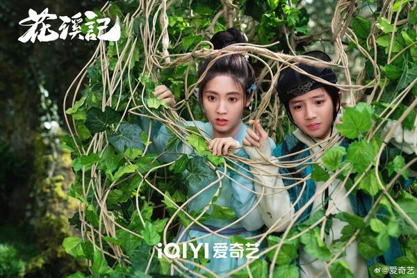 花溪记电视剧免费观看