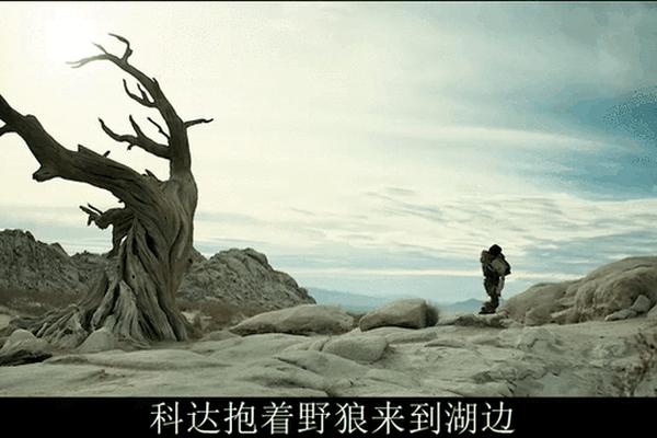 阿尔法 狼伴归途