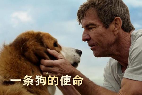 一条狗的使命 电影