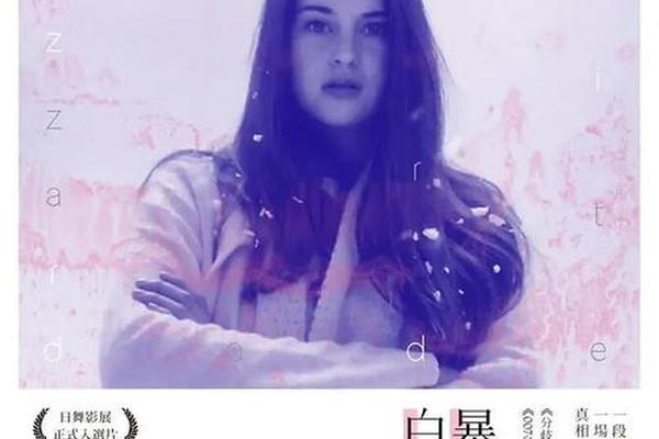 暴风雪中的白鸟