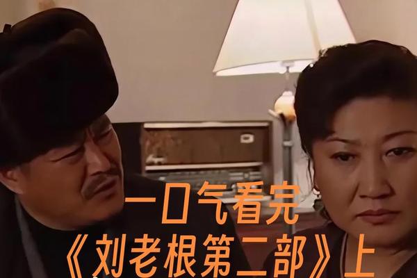 刘老根2