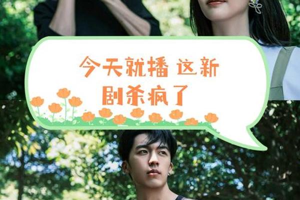 我的老板是小猪