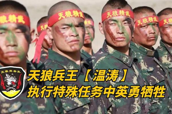 天狼特战队