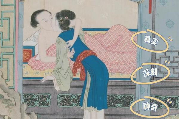 金瓶完整版2在线播放