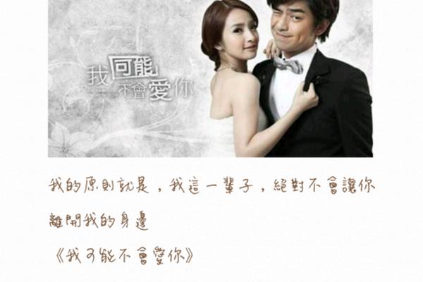 我可能不会爱你