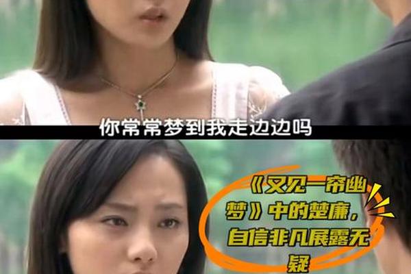 又见一帘幽梦电视剧
