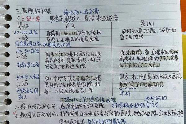 一位年轻医生的笔记