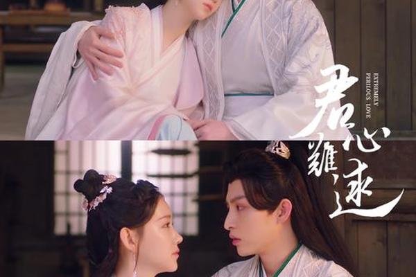 君心难求电视剧