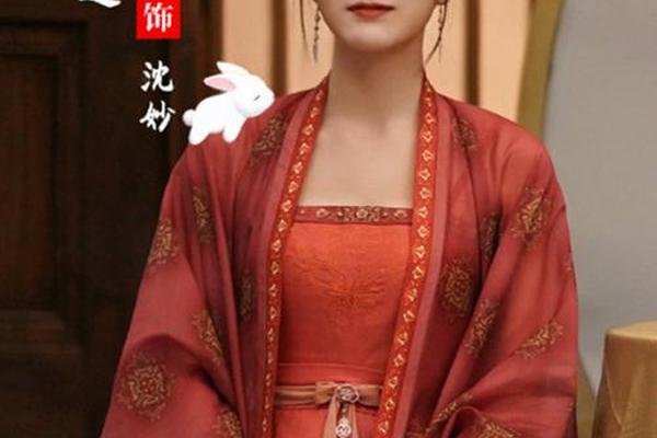 择君记电视剧在线观看完整版免费