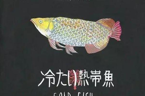 冰冷热带鱼 手机在线观看