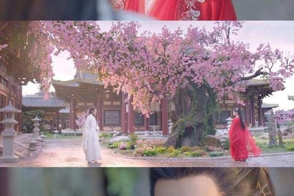 玉骨遥电视剧40集免费看