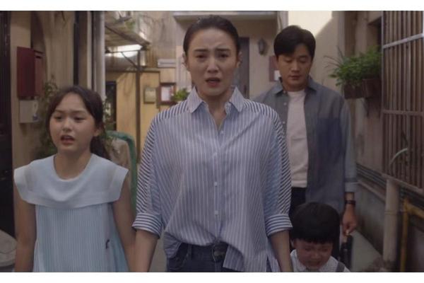 小舍得 电视剧