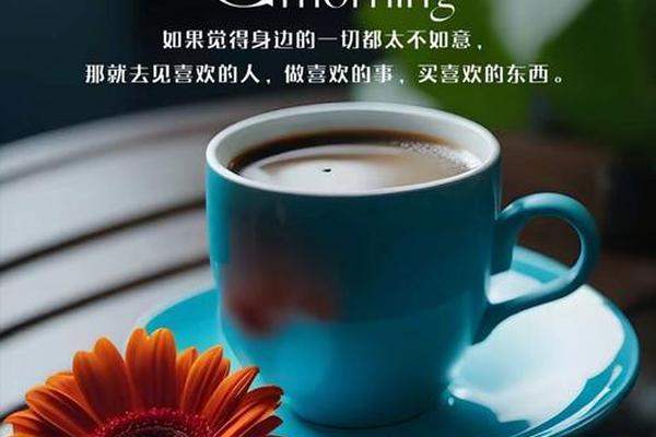 想要的一天