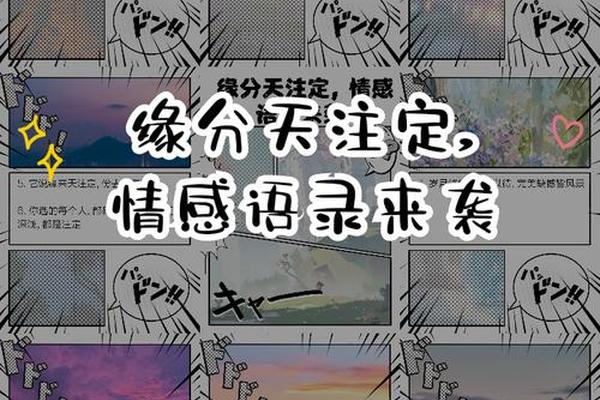 缘来天注定