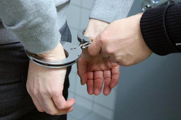 诱捕1