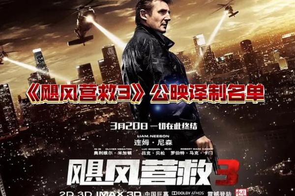 飓风营救3电影