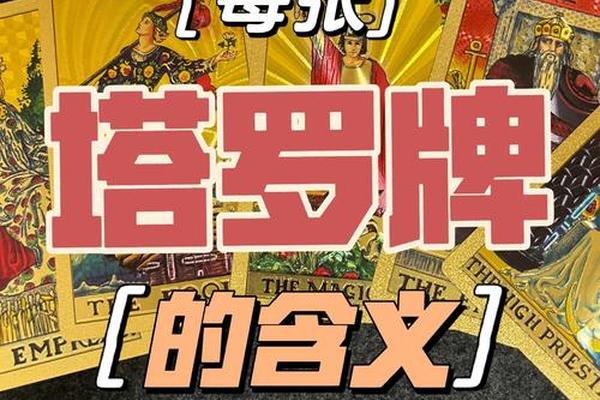 塔罗牌一共有多少集