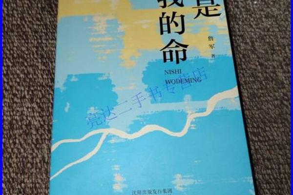 你是我的命