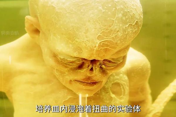 异形4百度影音