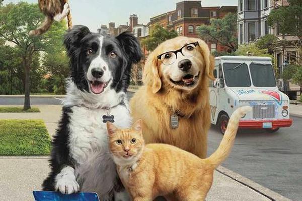 猫狗大战电影