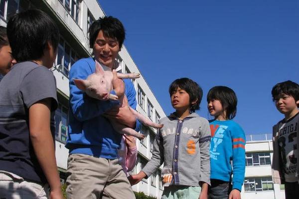 小猪教室