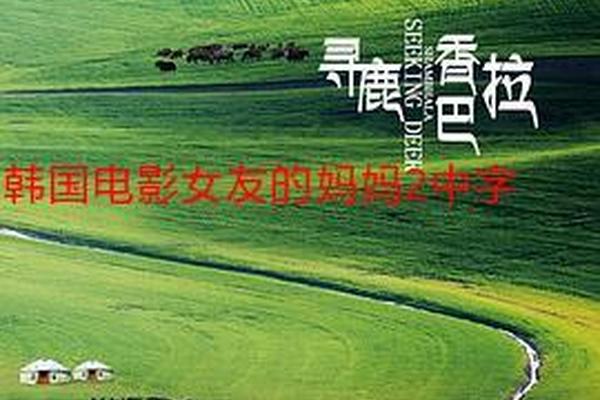我女朋友的妈妈中字2