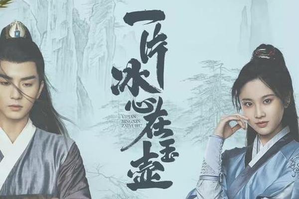 一片冰心在玉壶电视剧免费观看