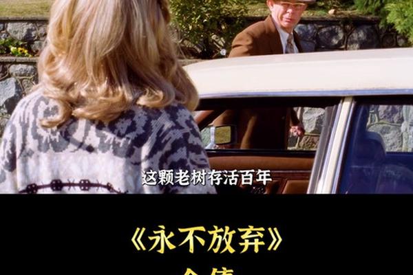 永不放弃 电影