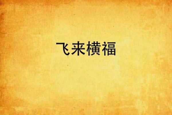 电视剧飞来横福