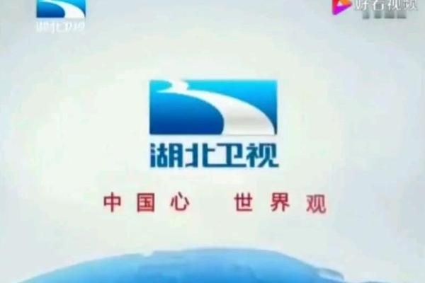 天生我才 湖北卫视