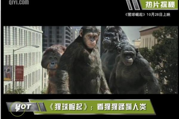 决战猩球百度影音